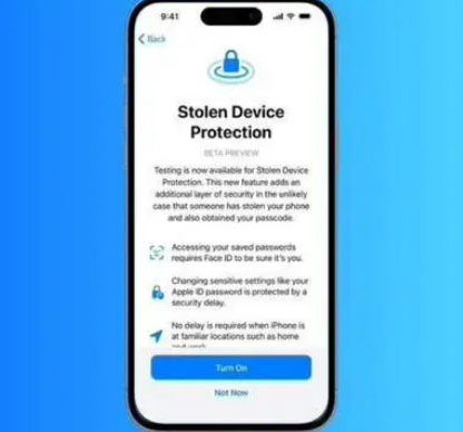 容县苹果授权维修店分享被盗设备保护功能开启方法 