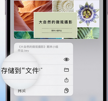 容县apple维修中心分享iPhone文件应用中存储和找到下载文件