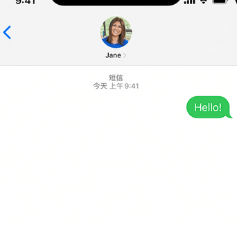 容县apple维修iPhone上无法正常发送iMessage信息