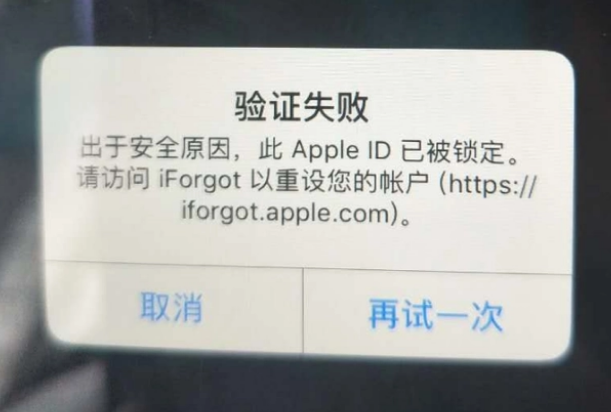 容县iPhone维修分享iPhone上正常登录或使用AppleID怎么办 