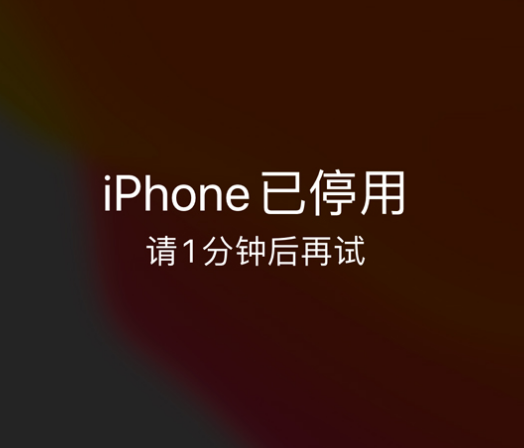 容县苹果手机维修分享:iPhone 显示“不可用”或“已停用”怎么办？还能保留数据吗？ 