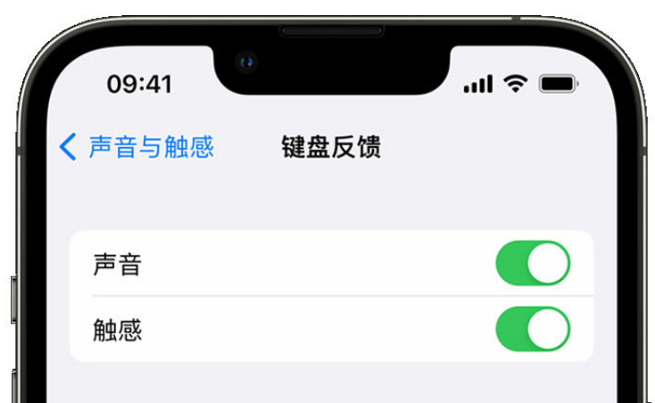 容县苹果手机维修分享iPhone 14触感键盘使用方法 