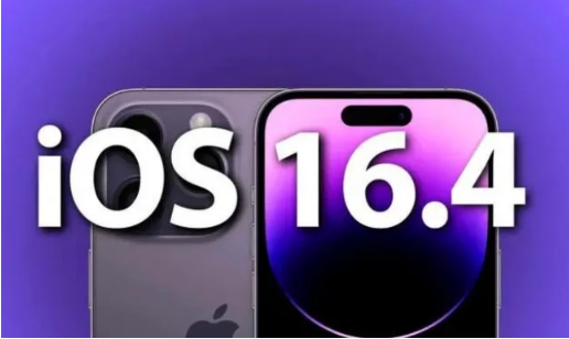 容县苹果14维修分享：iPhone14可以升级iOS16.4beta2吗？ 