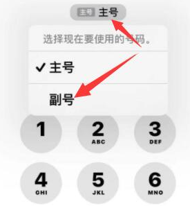 容县苹果14维修店分享iPhone 14 Pro Max使用副卡打电话的方法 