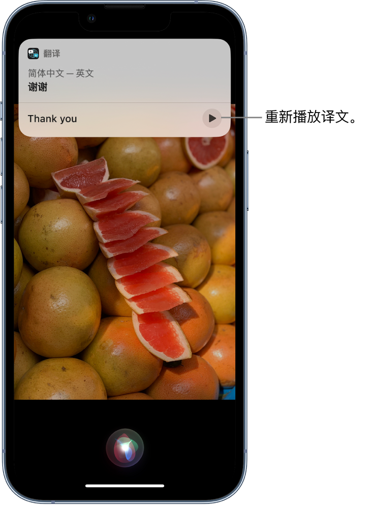 容县苹果14维修分享 iPhone 14 机型中使用 Siri：了解 Siri 能帮你做什么 