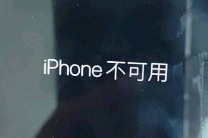 容县苹果服务网点分享锁屏界面显示“iPhone 不可用”如何解决 