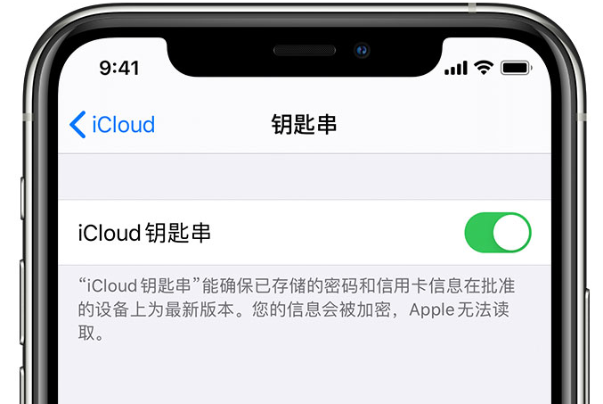 容县苹果手机维修分享在 iPhone 上开启 iCloud 钥匙串之后会储存哪些信息 