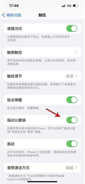 容县苹果手机维修分享iPhone手机如何设置摇一摇删除文字 