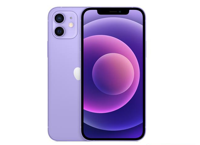 容县苹果手机维修分享现阶段要不要入手紫色版iPhone12 