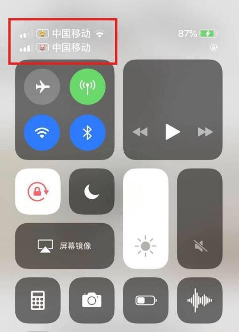 容县苹果手机维修分享为 iPhone 12 双卡设置标签 