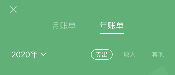 容县苹果手机维修分享如何在 iPhone 上查看支付宝和微信年支出账单 