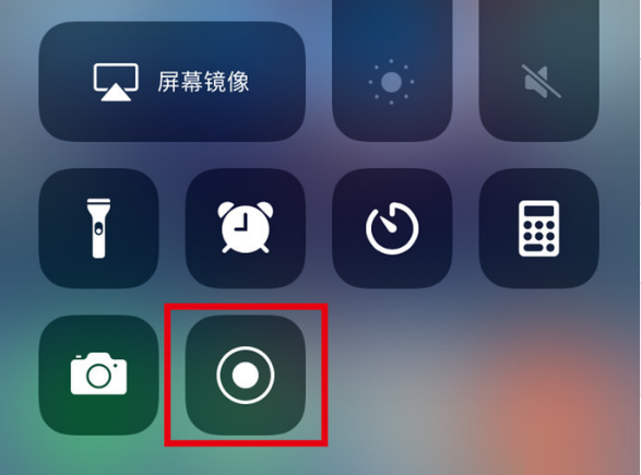 容县苹果手机维修分享iPhone12录屏方法教程 