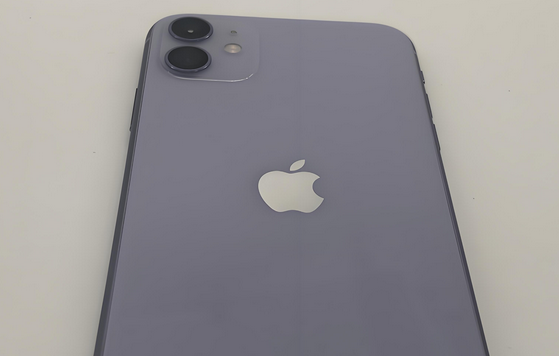 容县苹果11系统维修分享iPhone11手机系统崩溃无法开机如何解决